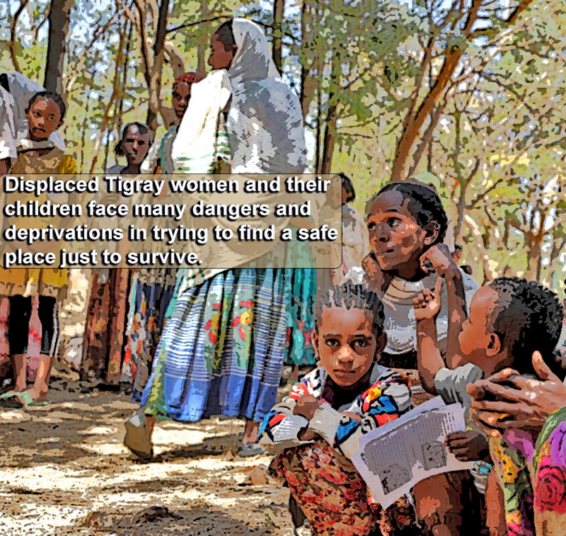 Displaced Tigray mothers and their children must pass through a gantlet of challenges in their search just to survive
